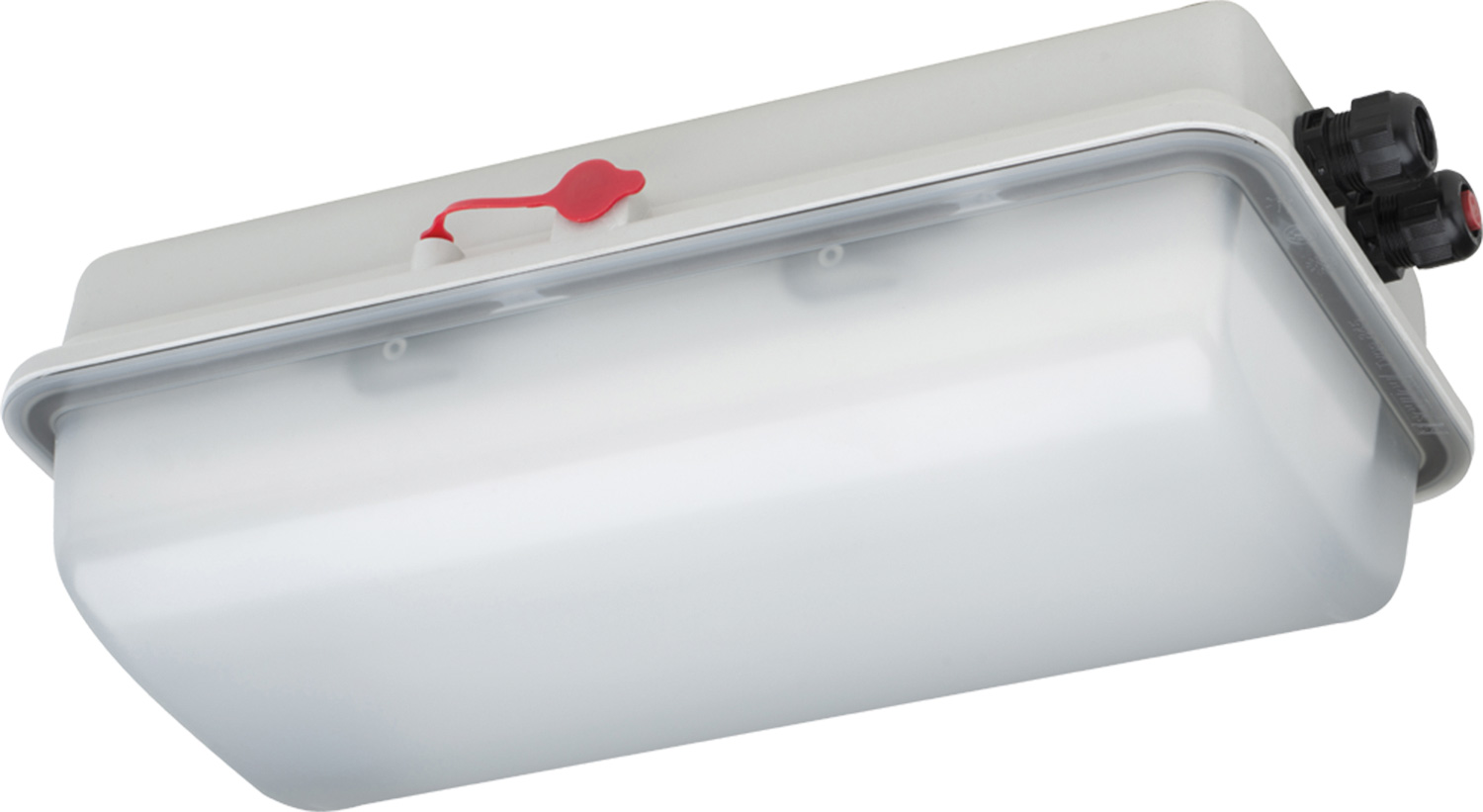 11580_LED_Wannenleuchte_2021-03 LED-Wannenlecuhte in Ex-Ausführung inklusive Schalter